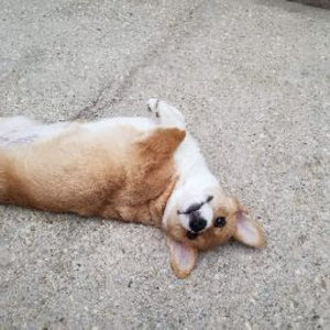 Meet your Posher, Katelyn